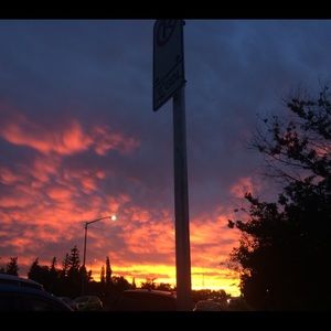 Meet your Posher, Fiona